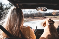 De beste manier om Nederland te verkennen: een rondreis met de auto!