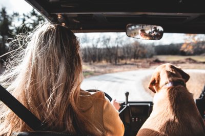 De beste manier om Nederland te verkennen: een rondreis met de auto!